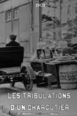Póster de la película Les tribulations d'un charcutier