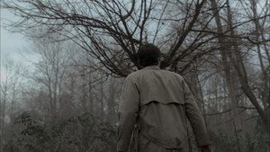 Supernatural