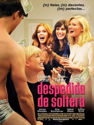 Póster de la película Despedida de soltera