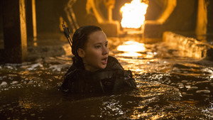 The Hunger Games: Mockingjay - Part 2