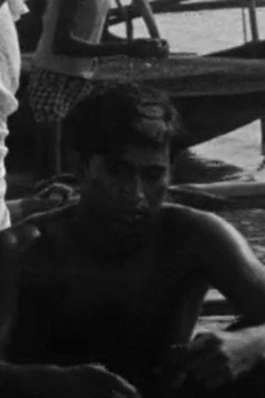 Chanu Bhattacharya