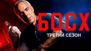 Bosch