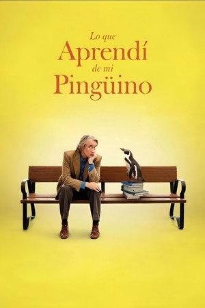Póster de la película Lo que aprendí de mi pingüino