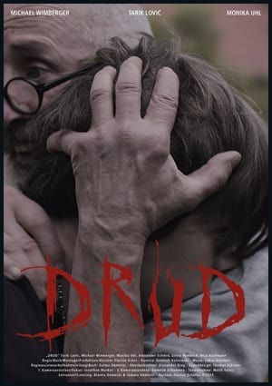 Póster de la película Drud