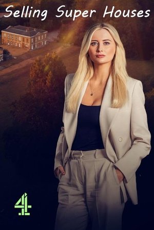 watch selling super houses tv show poster