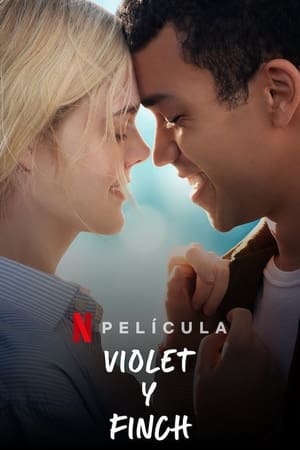 Póster de la película Violet y Finch