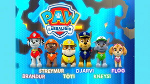 Paw Patrol: Helfer auf vier Pfoten