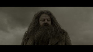 Harry Potter and the Half-Blood Prince