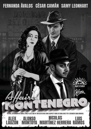 The Montenegro Affair