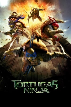 Póster de la película Ninja Turtles