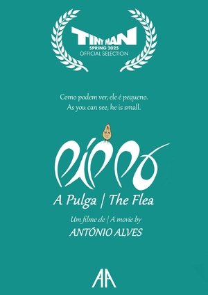 Pippo, the Flea