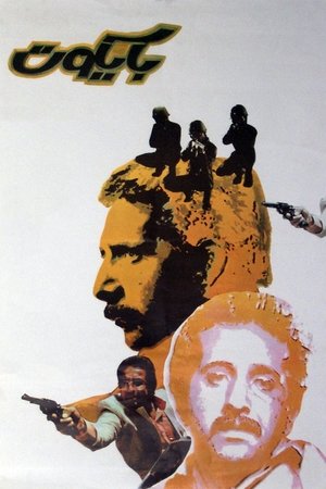 Póster de la película Baycot
