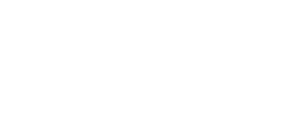 El rey león