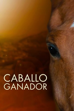 Póster de la película Caballo ganador