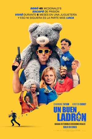 Póster de la película Roofman