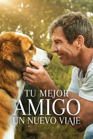 Póster de la película Tu mejor amigo: Un nuevo viaje