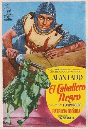 Póster de la película El caballero negro
