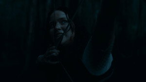 The Hunger Games: Catching Fire