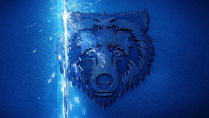 The Bear