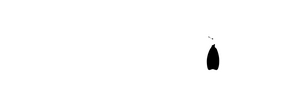 Los pingüinos de la Antártida