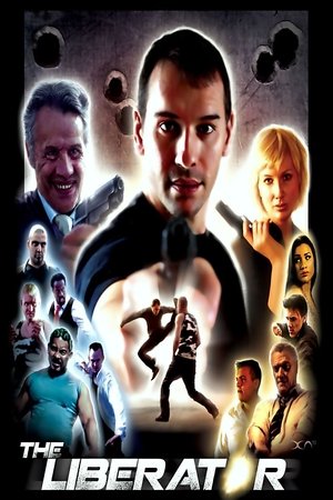 watch the liberator movie poster