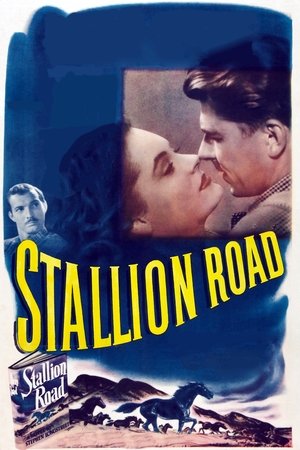 Póster de la película Stallion Road