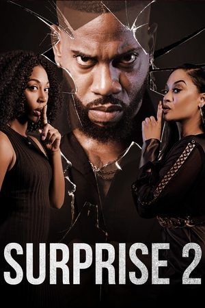 Póster de la película Surprise 2