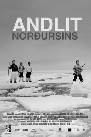 Póster de la película Andlit norðursins