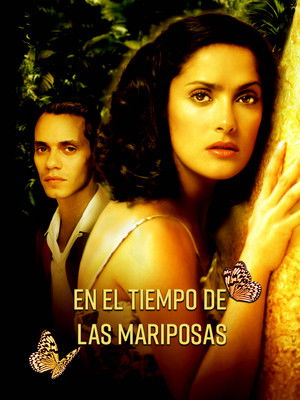 Póster de la película En el tiempo de las mariposas