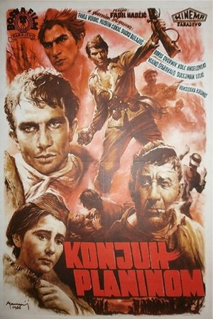 Póster de la película Konjuh planinom