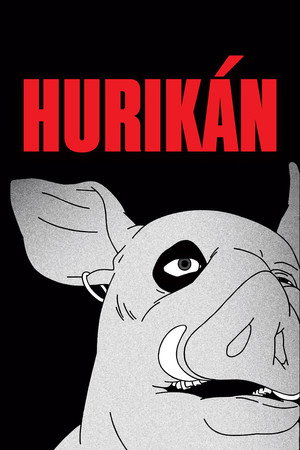 Hurikán