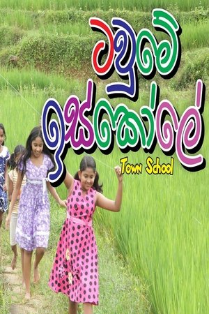 watch town school movie poster