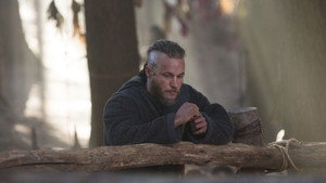 Vikingler