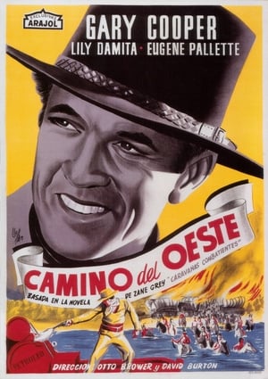 Póster de la película Camino del Oeste