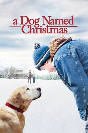 Póster de la película Un perro llamado Navidad