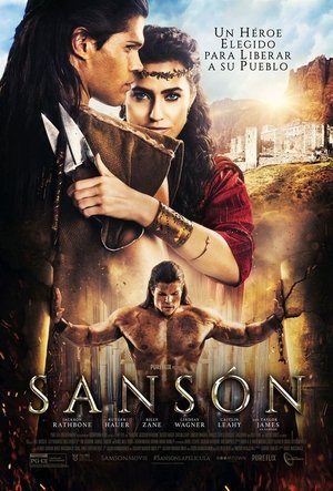 Póster de la película Sansón