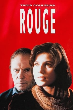 Trois couleurs : Rouge Streaming VF VOSTFR