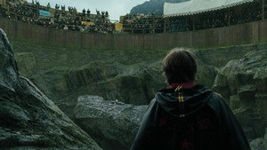 Harry Potter and the Goblet of Fire