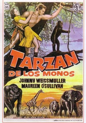 Póster de la película Tarzán de los monos