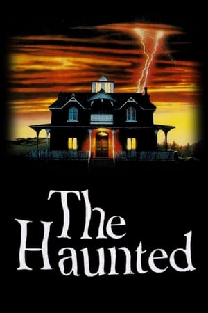 Póster de la película Apariciones - The Haunted: La Casa de las Almas Perdidas