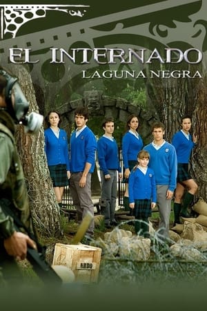 Póster de la serie El internado