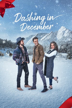 Póster de la película Dashing in December