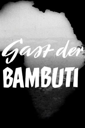 Gast der Bambuti