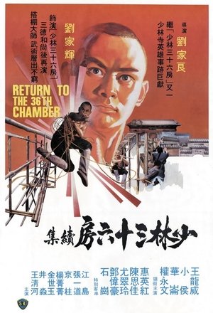 Póster de la película Retorno a Shaolin