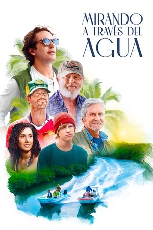 Póster de la película Mirando a través del agua