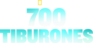 700 requins dans la nuit