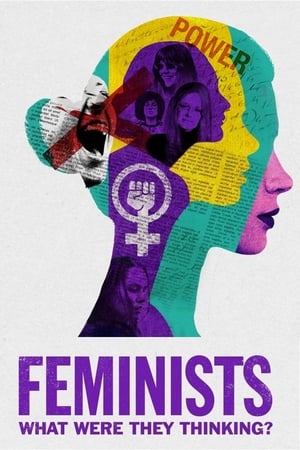 Póster de la película Retratos del feminismo
