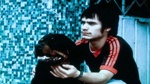 Amores perros
