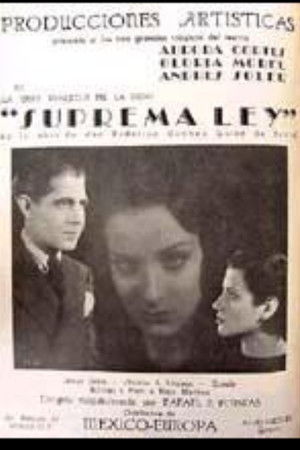 Default Netflix logo