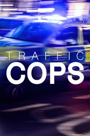 Póster de la serie Traffic Cops